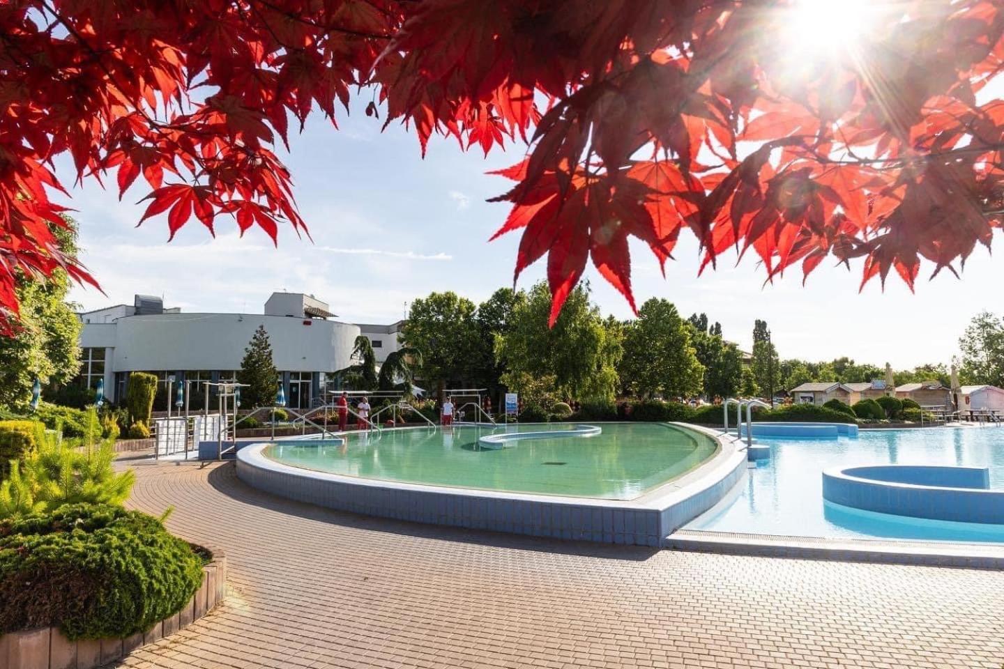 Dom Alex Pri Kupalisku Thermalpark Дунайська Стреда Екстер'єр фото